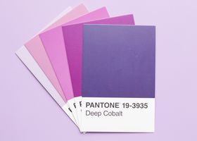 Studio Notes: One Color, Many Voices